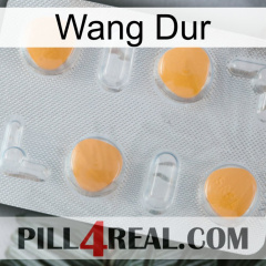 Hard Wang 24